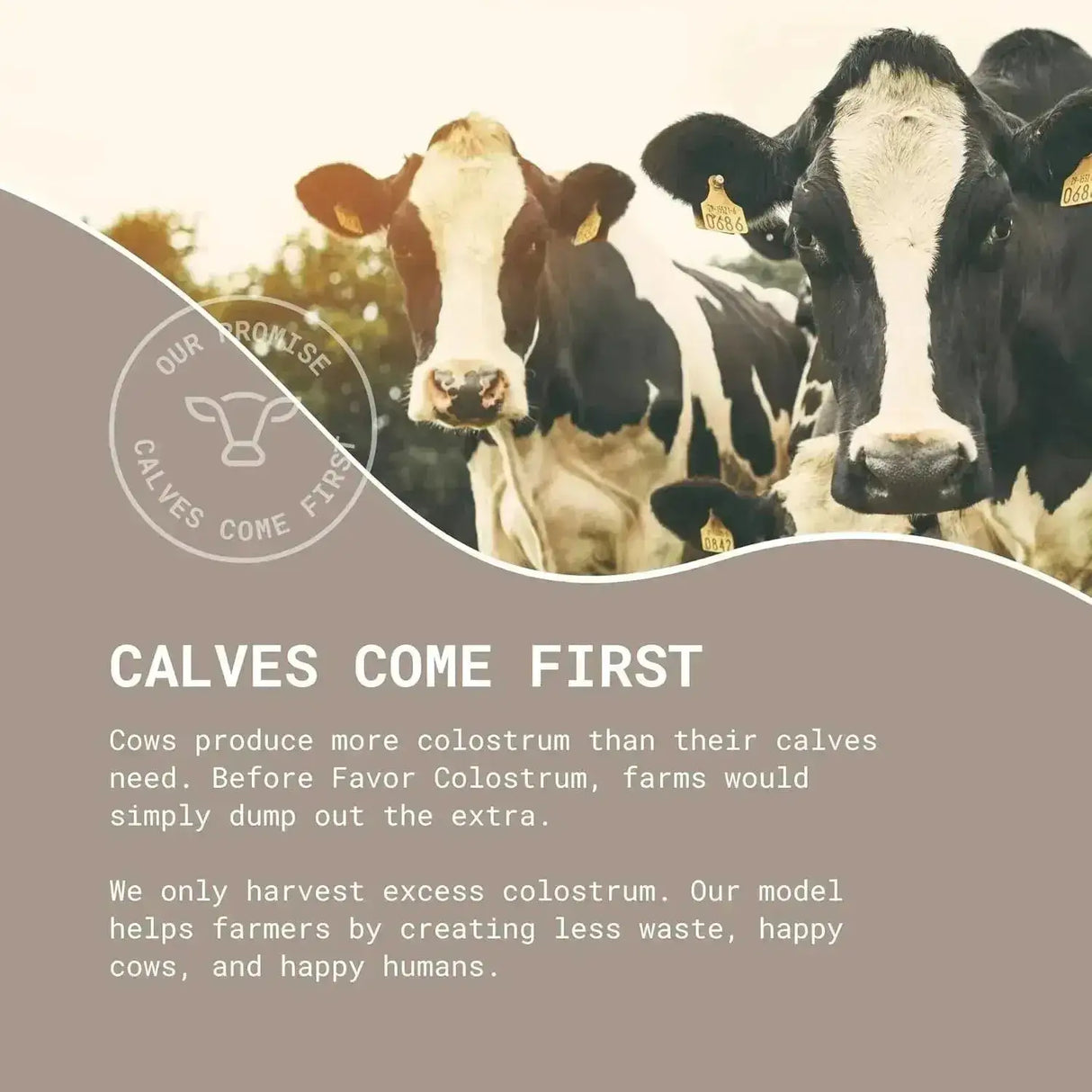 FAVOR - Favor Bovine Colostrum Powder 120Gr. - The Red Vitamin MX - Suplementos Alimenticios - {{ shop.shopifyCountryName }}