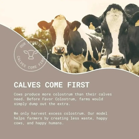 FAVOR - Favor Bovine Colostrum Powder 120Gr. - The Red Vitamin MX - Suplementos Alimenticios - {{ shop.shopifyCountryName }}