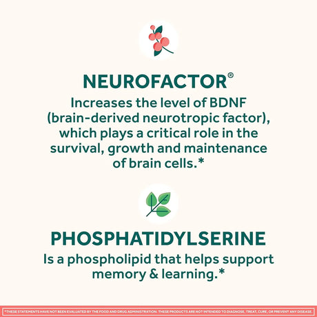 NEURIVA - Neuriva Brain Health Original Brain Supplement For Memory Strawberry Gummies 50 Gomitas - The Red Vitamin MX - Suplementos Alimenticios - {{ shop.shopifyCountryName }}