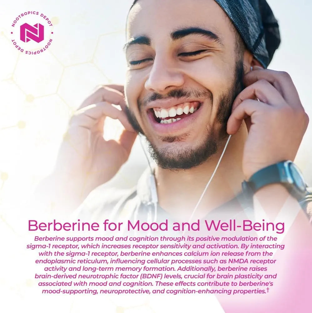 NOOTROPICS DEPOT - Nootropics Depot Berberine HCL + Silymarin 180 Capsulas - The Red Vitamin MX - Suplementos Alimenticios - {{ shop.shopifyCountryName }}