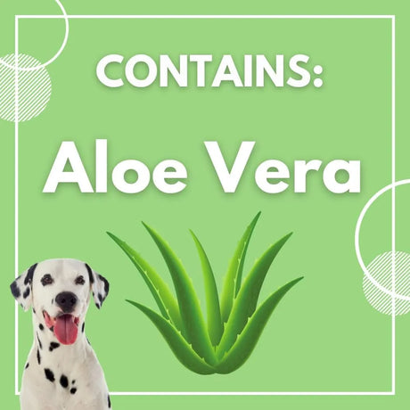 BARKOS - BARKOS Dog Ear Cleaner Wipes 100 Toallitas - The Red Vitamin MX - Cuidado Del Oído De Perros - {{ shop.shopifyCountryName }}