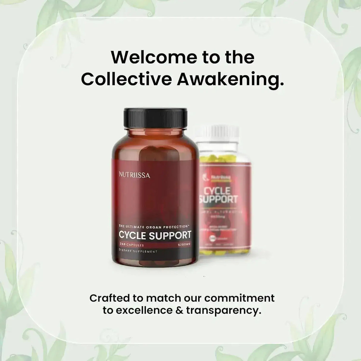 NUTRIISSA - Nutriissa Cycle Support Premium Liver Detox 5700Mg. 240 Capsulas - The Red Vitamin MX - Suplementos Alimenticios - {{ shop.shopifyCountryName }}