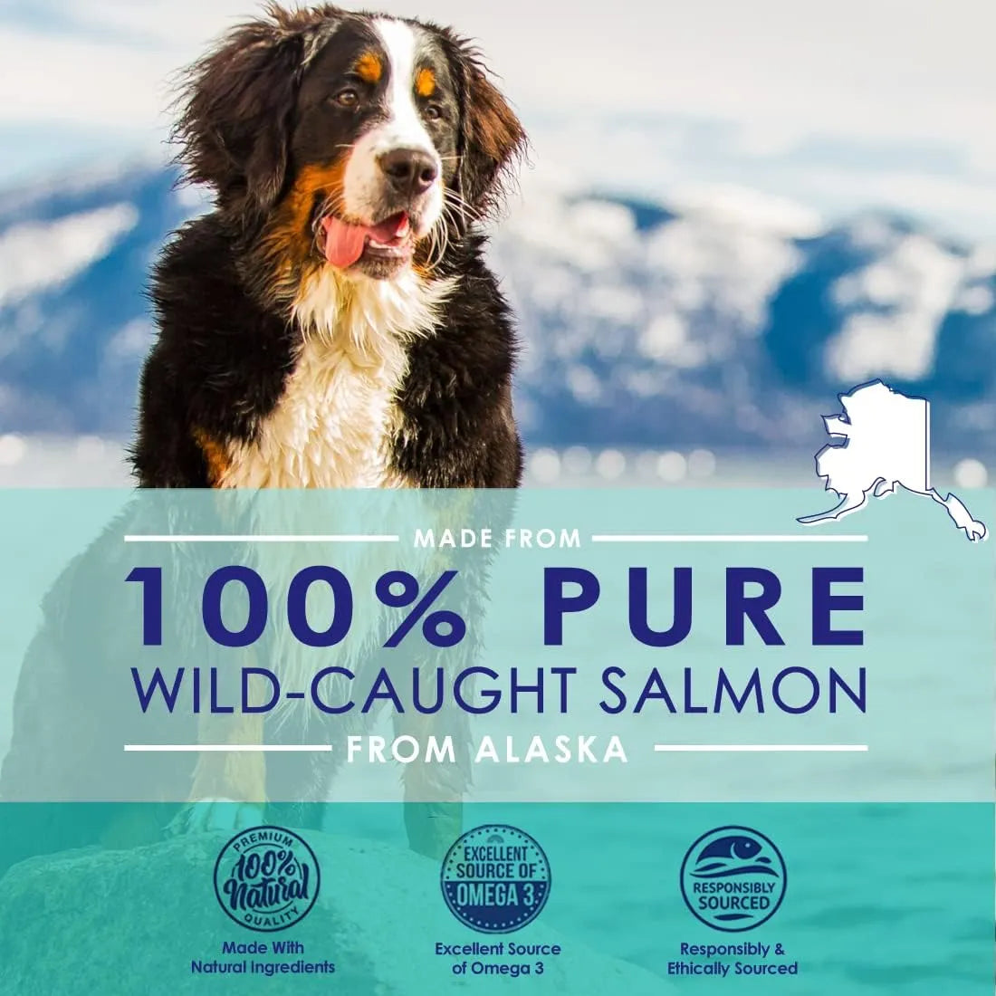 NULIFE - NuLife Pure Wild Alaskan Salmon Oil for Dogs 120 Capsulas Blandas - The Red Vitamin MX - Aceite De Pescado Para Perros - {{ shop.shopifyCountryName }}