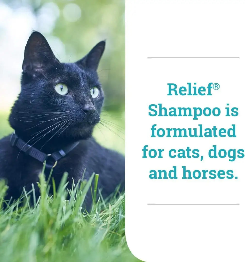 ELANCO - Elanco Relief Shampoo 8 Fl.Oz. - The Red Vitamin MX - Remedios Para La Picazón De Perros - {{ shop.shopifyCountryName }}