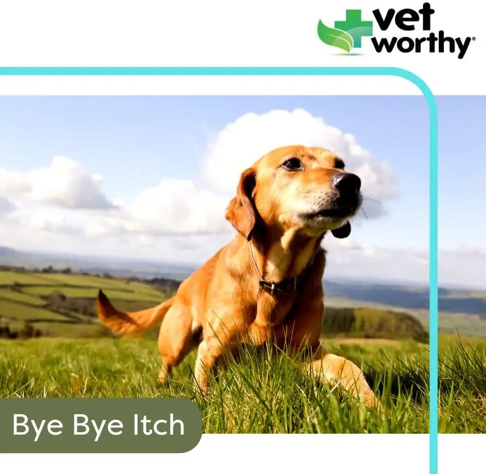 VET WORTHY - Vet Worthy Anti-Itch Spray for Dogs 8 Fl.Oz. - The Red Vitamin MX - Remedios Para La Picazón De Perros - {{ shop.shopifyCountryName }}