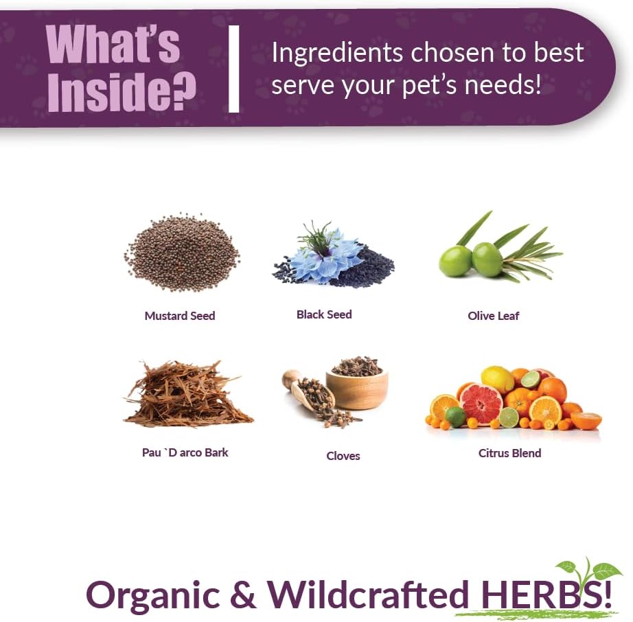 Amber NaturalZ Vibactra Immune Support Herbal Supplement for Dogs 1 Fl.Oz.