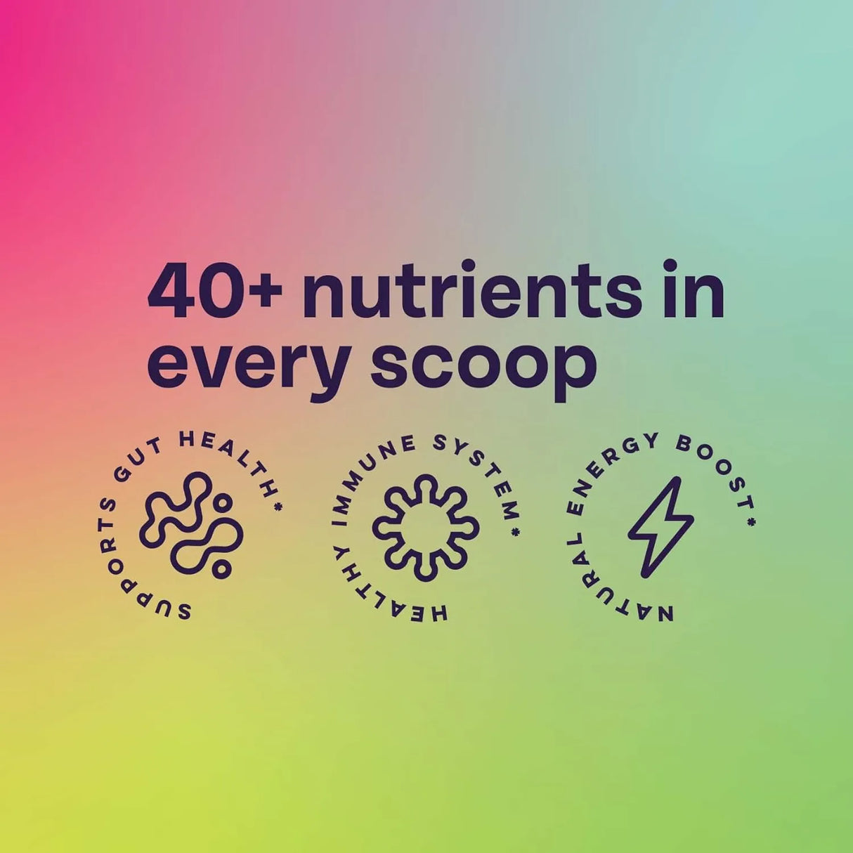 ALANI NU - Alani Nu Super Greens Powder 30 Servicios Wild Berry 219Gr. - The Red Vitamin MX - Suplementos Alimenticios - {{ shop.shopifyCountryName }}