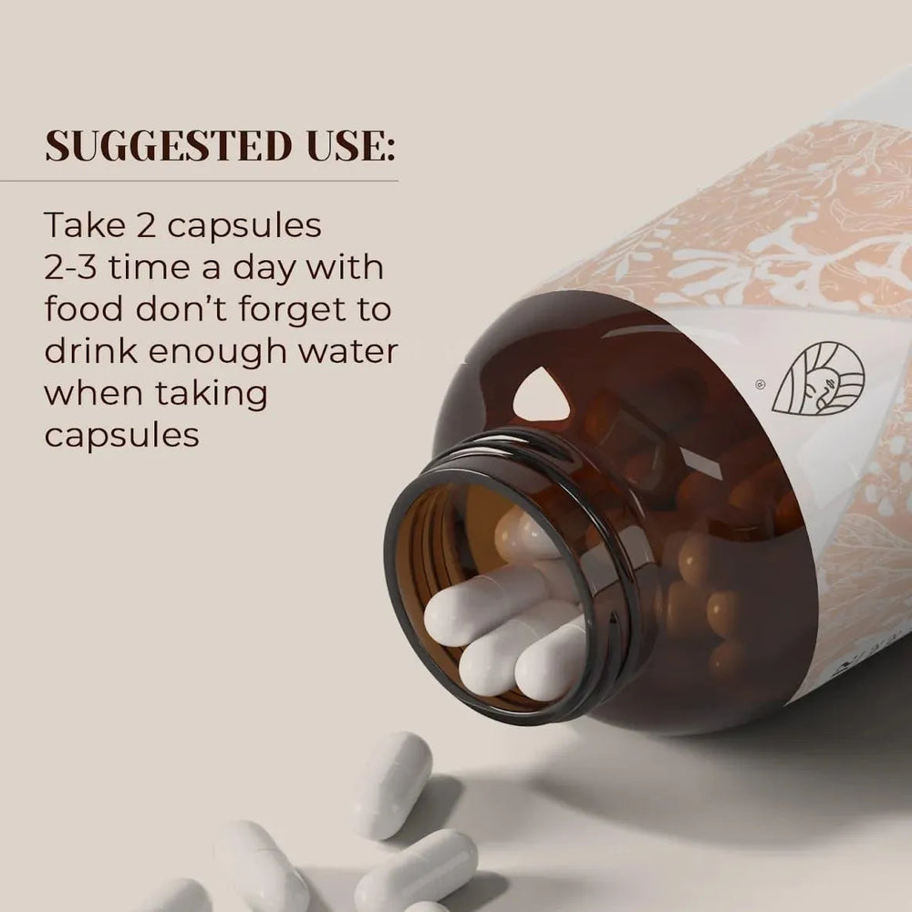 GARDEN ORGANICS - Garden Organics Corn Silk USDA Organic 120 Capsulas - The Red Vitamin MX - Suplementos Alimenticios - {{ shop.shopifyCountryName }}