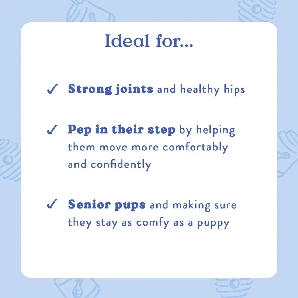 BOCCE'S BAKERY - Bocce's Bakery Hip & Joint Supplement for Dogs 60 Masticables - The Red Vitamin MX - Cuidado De Cadera Y Articulaciones Para Perros - {{ shop.shopifyCountryName }}