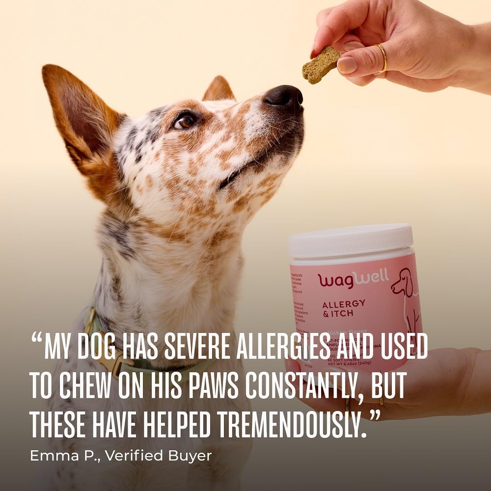 WagWell Allergy and Itch Chews 60 Masticables