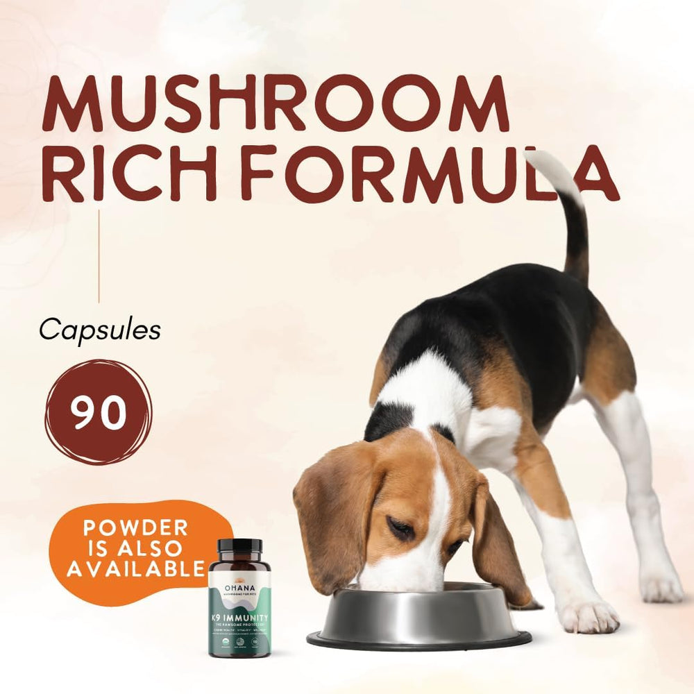 OHANA - Ohana K9 Immunity Organic Mushroom Extracts 90 Capsulas - The Red Vitamin MX - Suplementos Herbales Para Perros - {{ shop.shopifyCountryName }}