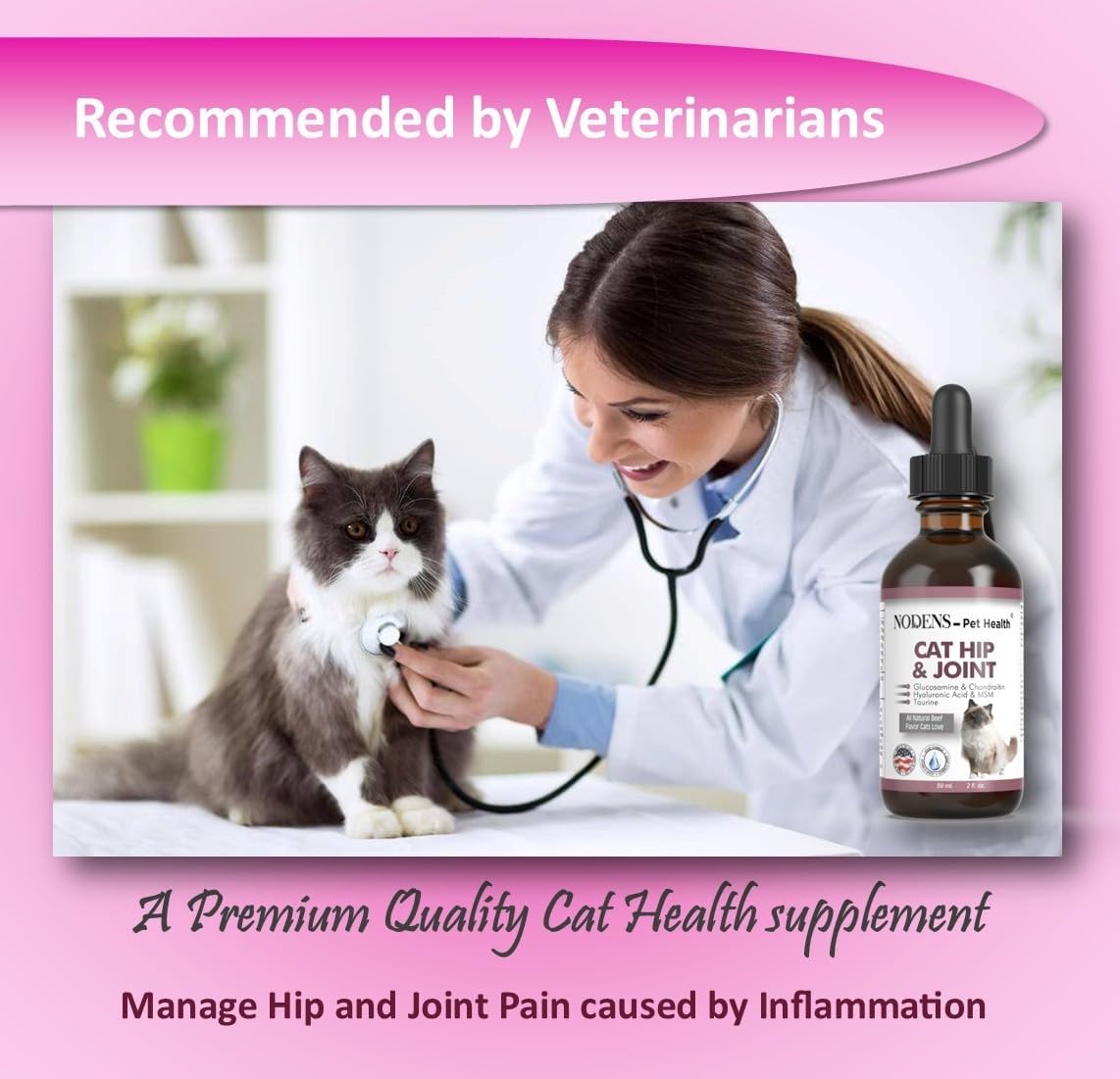 NODENS CAT Hip and Joint Glucosamine for Cats with Chondroitin 2 Fl.Oz.