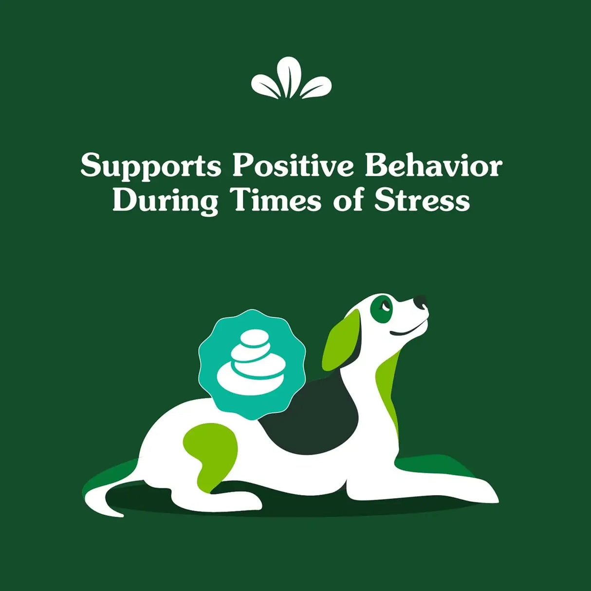 GREENIES - Greenies Supplements Calming Chews for Dogs Chicken Flavor 80 Masticables - The Red Vitamin MX - Relajantes Para Perros - {{ shop.shopifyCountryName }}