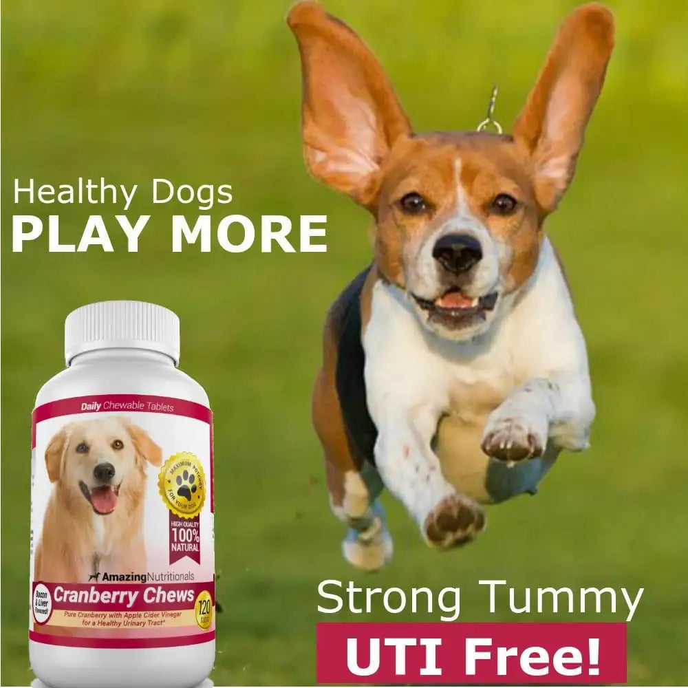 AMAZING NUTRITIONALS - Amazing Nutritionals Amazing Cranberry for Dogs 120 Masticables - The Red Vitamin MX - Salud De Tracto Urinario Para Perros - {{ shop.shopifyCountryName }}