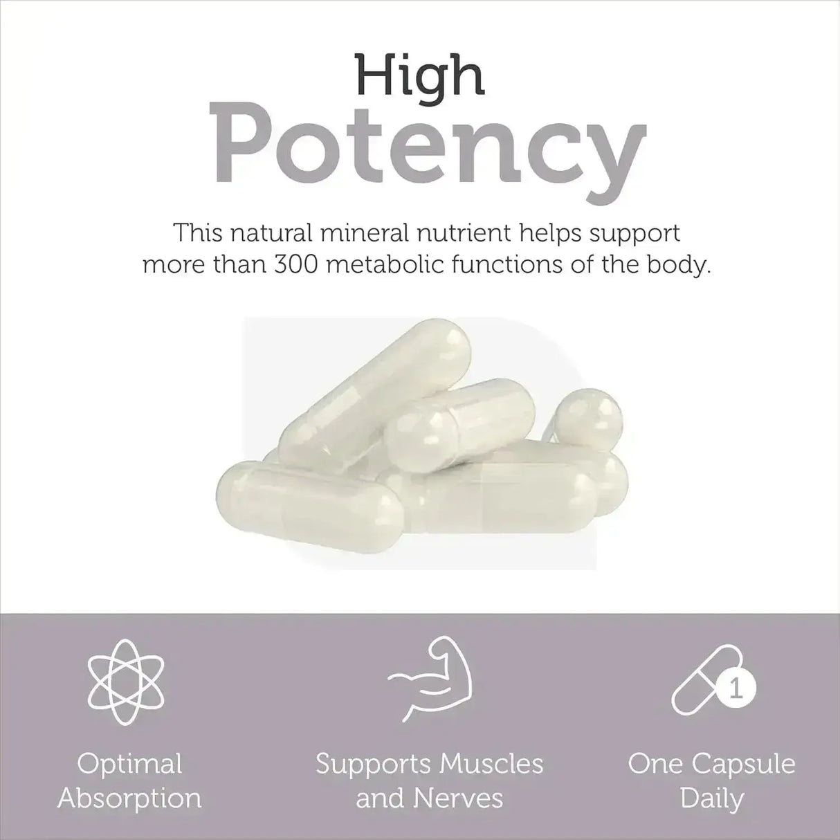 ZAHLER - Zahler Magnesium 200Mg. 250 Capsulas - The Red Vitamin MX - Suplementos Alimenticios - {{ shop.shopifyCountryName }}