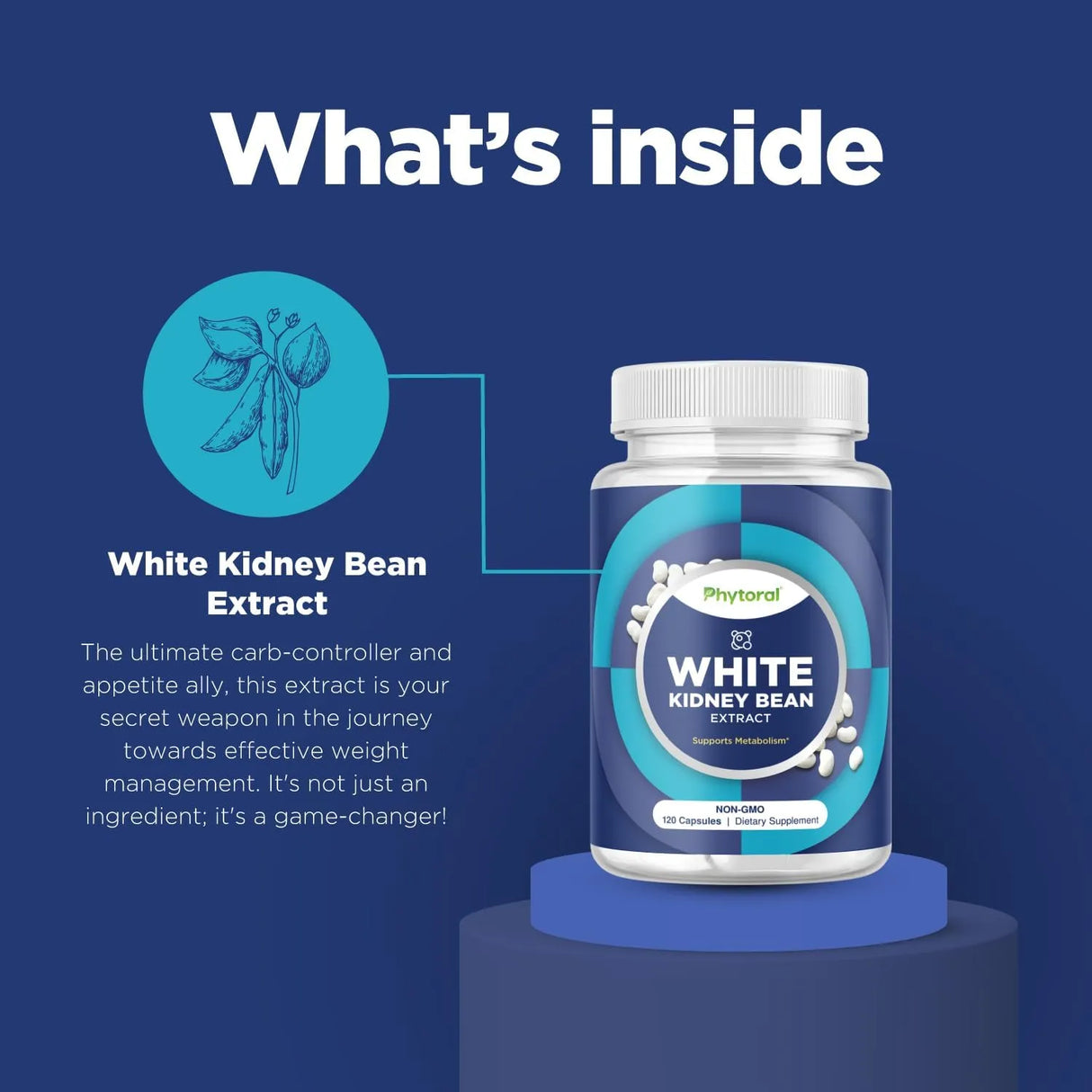 PHYTORAL - Phytoral White Kidney Bean Extract 120 Capsulas - The Red Vitamin MX - Suplementos Alimenticios - {{ shop.shopifyCountryName }}