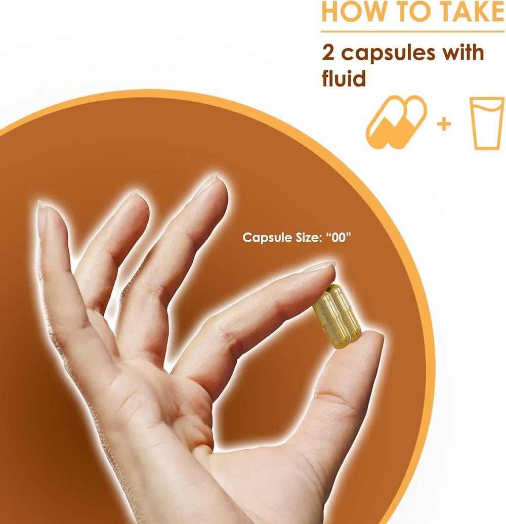 VH NUTRITION - VH Nutrition MAITAKE 1200Mg. 60 Capsulas - The Red Vitamin MX - Suplementos Alimenticios - {{ shop.shopifyCountryName }}