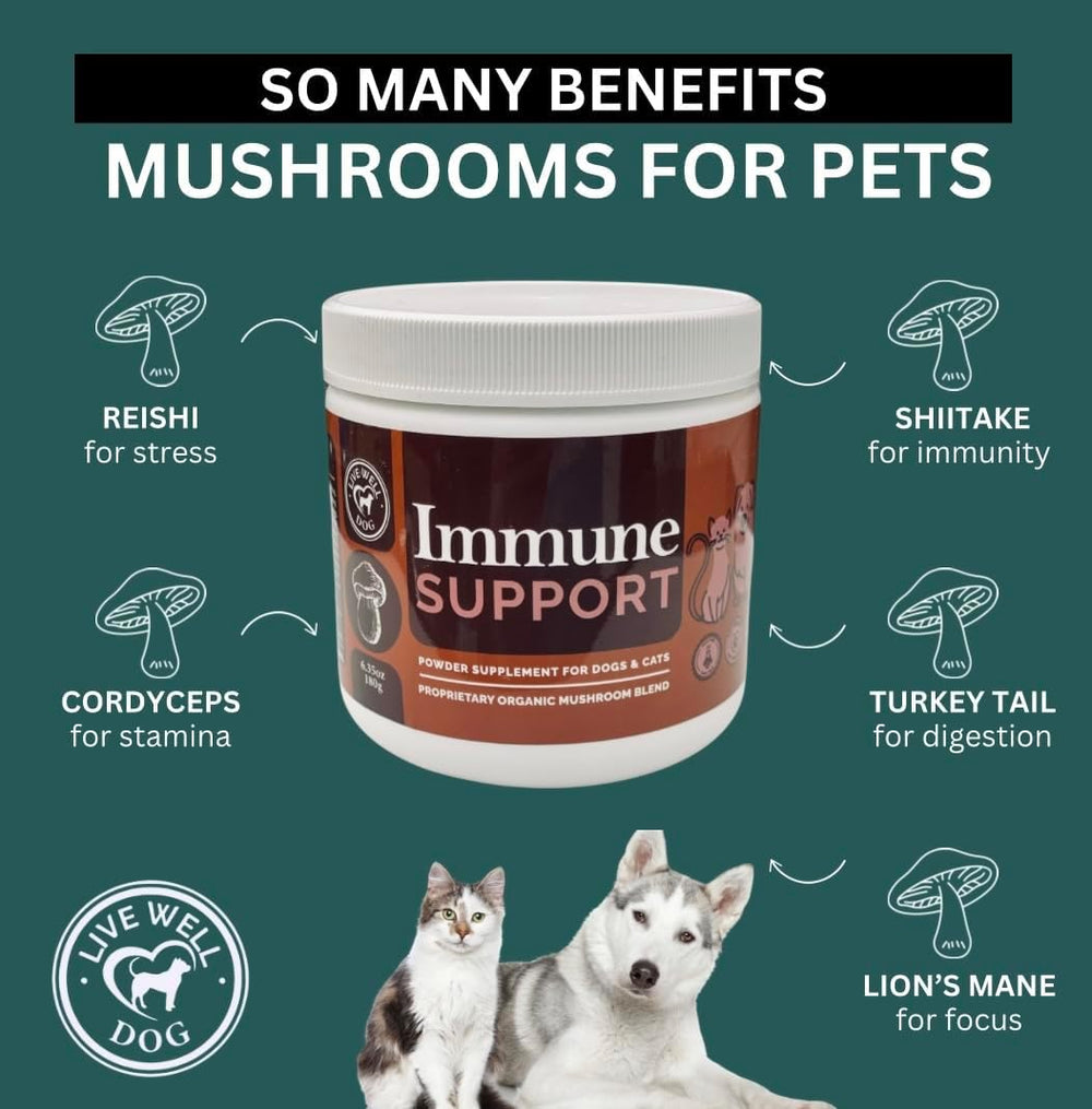 LIVE WELL DOG - Live Well Dog Immune Support Powder Food Topper 300Gr. - The Red Vitamin MX - Suplementos Herbales Para Perros - {{ shop.shopifyCountryName }}