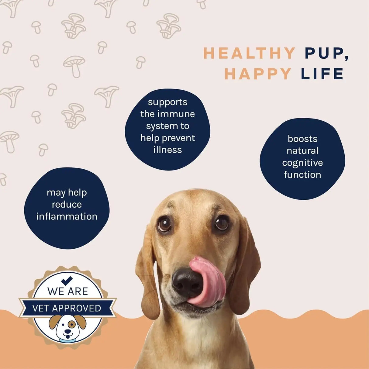 GOOD TROUBLE - Good Trouble Dog Immune Support Supplement 54Gr. - The Red Vitamin MX - Suplementos Herbales Para Perros - {{ shop.shopifyCountryName }}