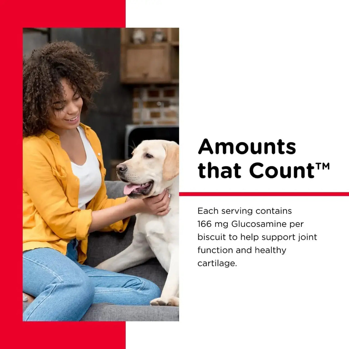 NUTRI-VET - Nutri-Vet Hip & Joint Biscuits for Dogs 454Gr. 2 Pack - The Red Vitamin MX - Cuidado De Cadera Y Articulaciones Para Perros - {{ shop.shopifyCountryName }}