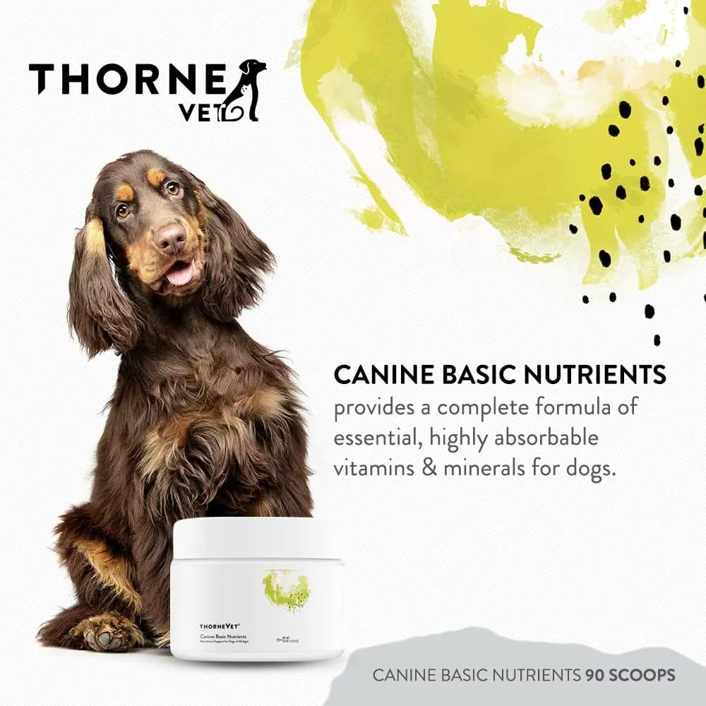 THORNEVET - ThorneVET Canine Basic Nutrients Multivitamin Support for Dogs 90 Servicios 113Gr. - The Red Vitamin MX - Multivitamínicos Para Perros - {{ shop.shopifyCountryName }}