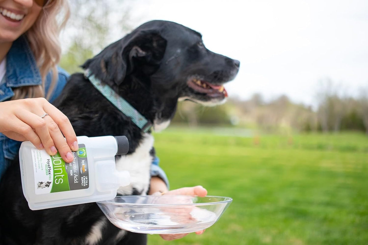 Hyalogic HyaFlex Pro-Complete Dog Joint Supplement 8 Fl.Oz.