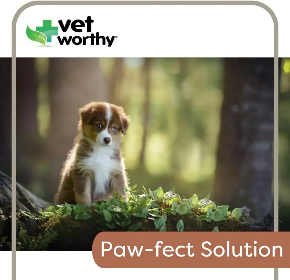 VET WORTHY - Vet Worthy Milk Replacement for Dogs 340Gr. - The Red Vitamin MX - Sustitutos De Leche Para Perros - {{ shop.shopifyCountryName }}