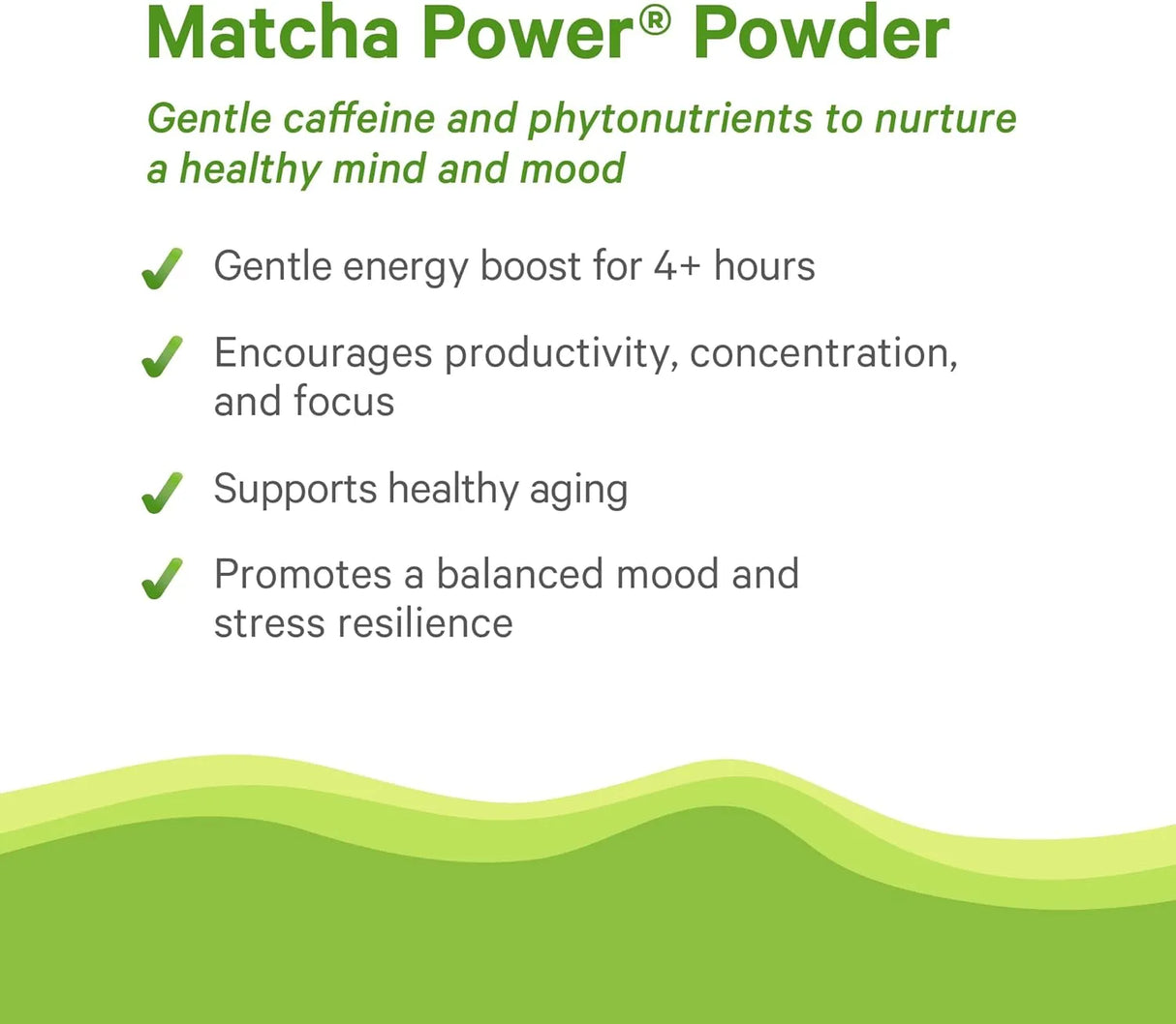 PURE SYNERGY - PURE SYNERGY Matcha Power 60Gr. - The Red Vitamin MX - Suplementos Alimenticios - {{ shop.shopifyCountryName }}