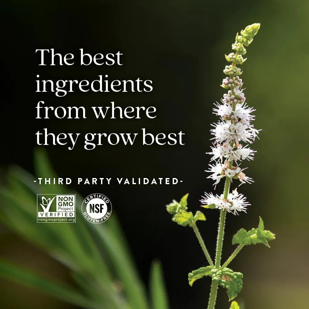 NEW CHAPTER - New Chapter Estrotone Peri-Menopause Supplement 60 Capsulas - The Red Vitamin MX - Suplementos Alimenticios - {{ shop.shopifyCountryName }}