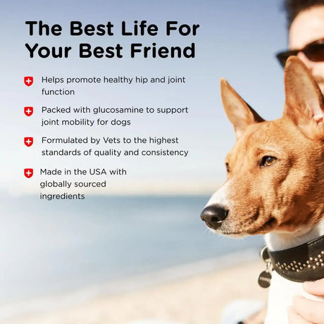 NUTRI-VET - Nutri-Vet Hip & Joint Biscuits for Dogs 454Gr. 2 Pack - The Red Vitamin MX - Cuidado De Cadera Y Articulaciones Para Perros - {{ shop.shopifyCountryName }}