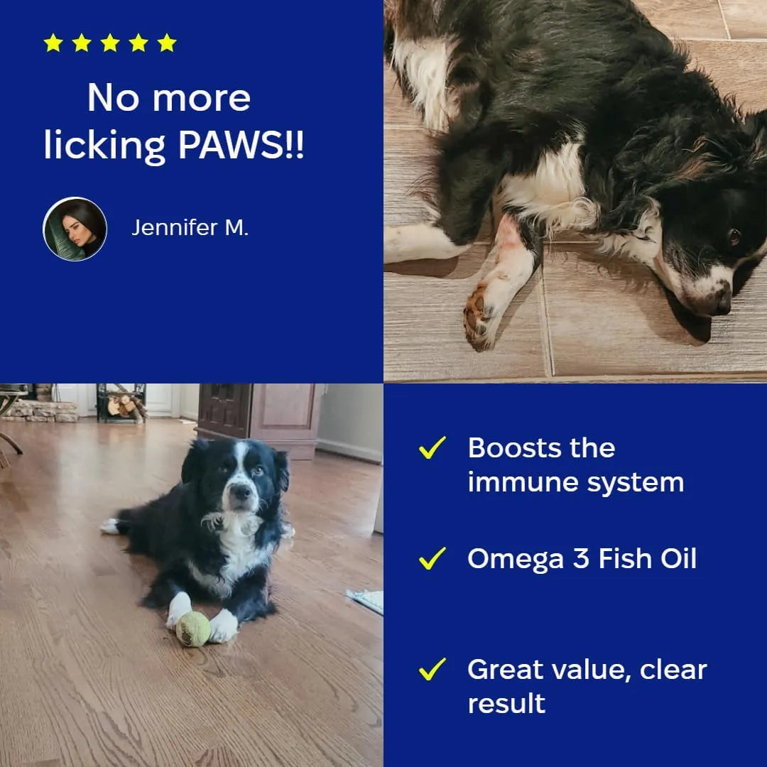 PET'S THE NEW KIDS - Pet's: The New Kids 7 Mushroom Blend Supplement for Dogs 170Gr. - The Red Vitamin MX - Suplementos Herbales Para Perros - {{ shop.shopifyCountryName }}