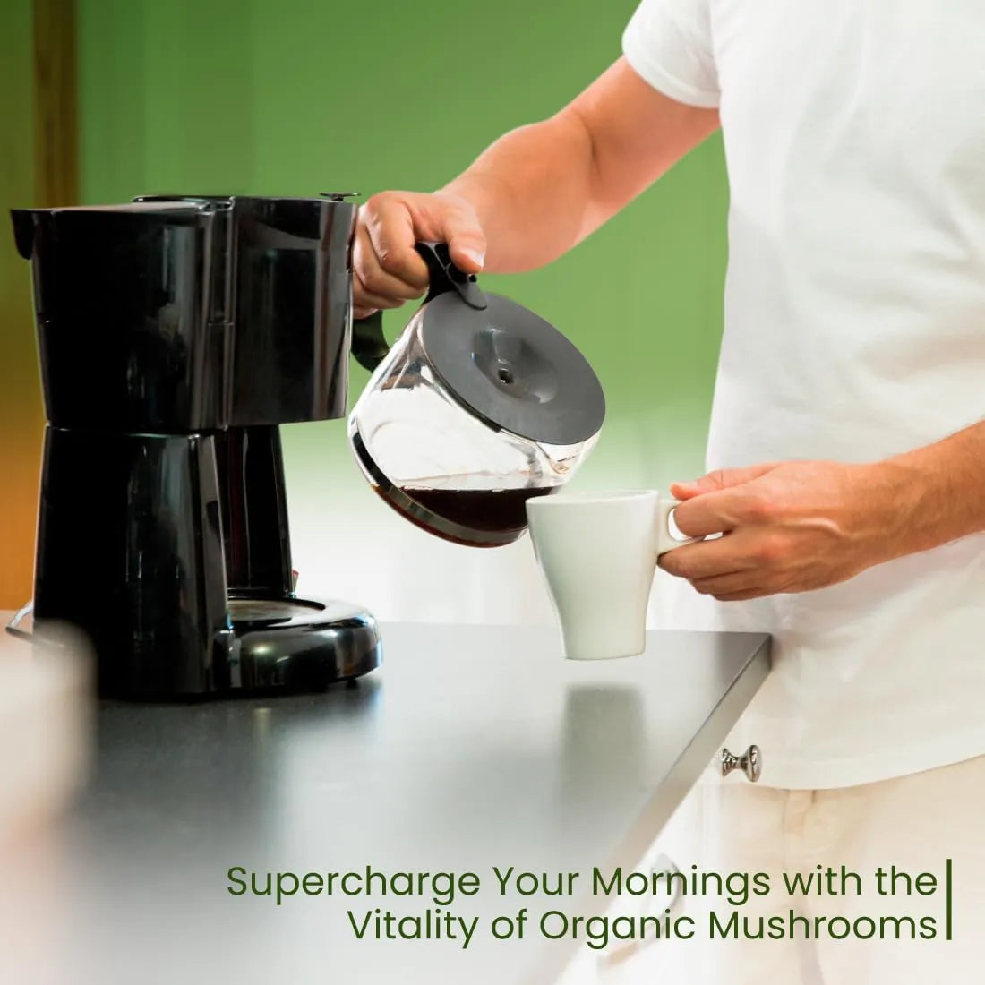 Z NATURAL FOODS - Z Natural Foods Organic Reishi Mushroom Extract Powder 454Gr. - The Red Vitamin MX - Suplementos Alimenticios - {{ shop.shopifyCountryName }}