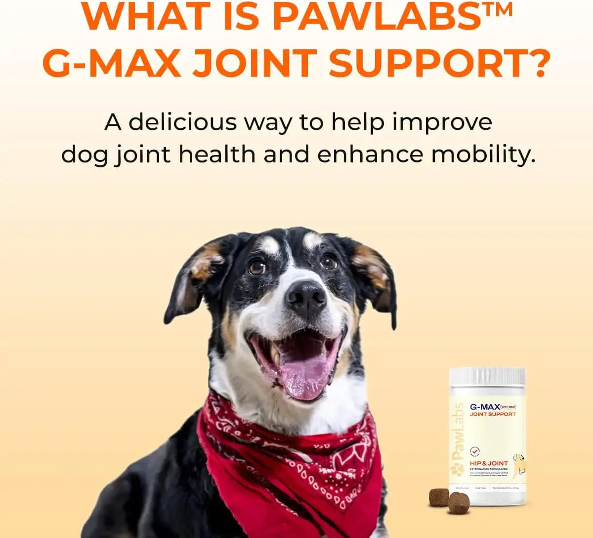 PAWLABS - Pawlabs G-Max Joint Support for Dogs Duck Flavor 60 Masticables - The Red Vitamin MX - Cuidado De Cadera Y Articulaciones Para Perros - {{ shop.shopifyCountryName }}