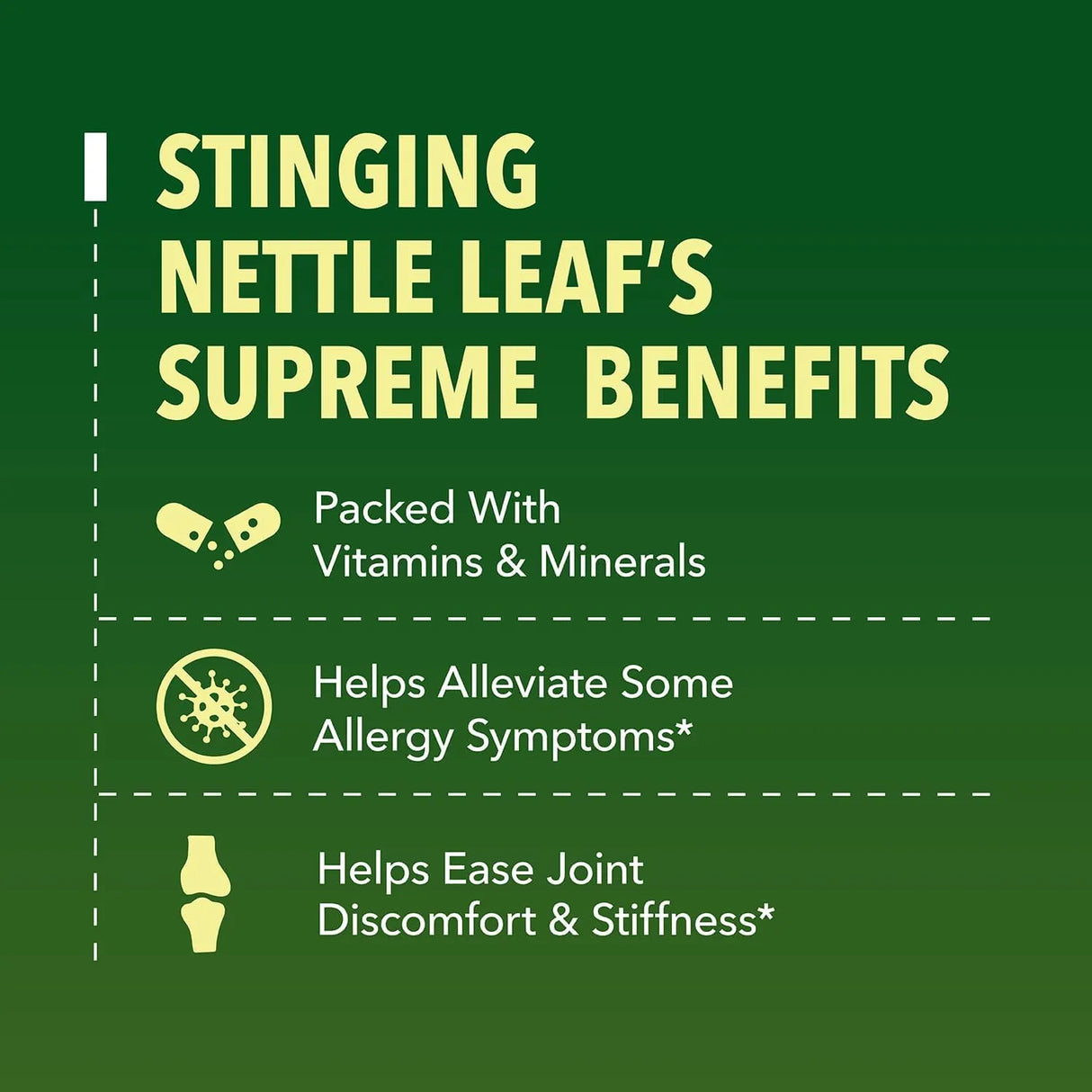 HAVASU NUTRITION - HAVASU NUTRITION Stinging Nettle Leaf Extract 1 Fl.Oz. - The Red Vitamin MX - Suplementos Alimenticios - {{ shop.shopifyCountryName }}