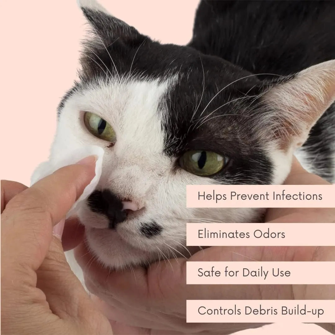 CLEAN PET - Clean Pet Eye & Ear Pet Wipes Rosewater 100 Toallitas - The Red Vitamin MX - Cuidado De Los Ojos De Los Perros - {{ shop.shopifyCountryName }}