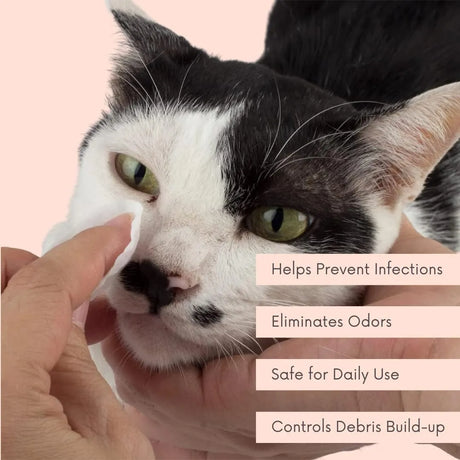 CLEAN PET - Clean Pet Eye & Ear Pet Wipes Rosewater 100 Toallitas - The Red Vitamin MX - Cuidado De Los Ojos De Los Perros - {{ shop.shopifyCountryName }}