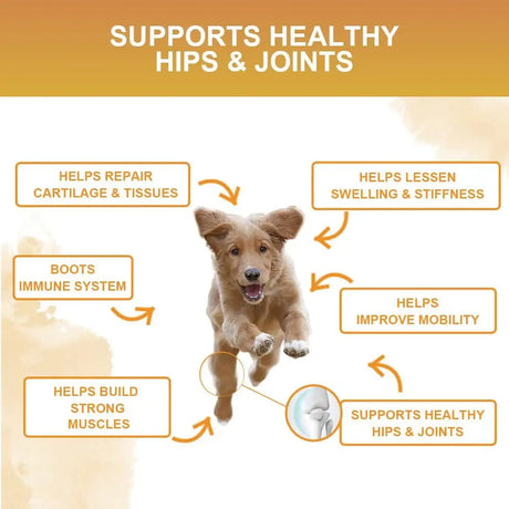 NUTRIDOG - Nutridog Hip and Joint Supplement for Dogs Duck 120 Masticables - The Red Vitamin MX - Cuidado De Cadera Y Articulaciones Para Perros - {{ shop.shopifyCountryName }}
