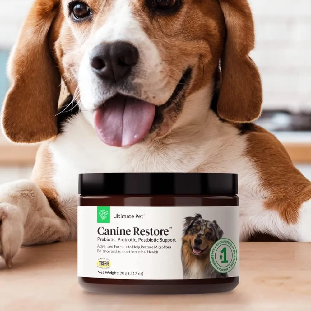ULTIMATE PET - Ultimate Pet Nutrition Canine Restore Prebiotic Probiotic Postbiotic 90Gr. - The Red Vitamin MX - Probióticos Para Perros - {{ shop.shopifyCountryName }}