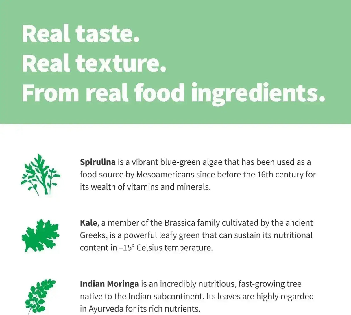 SPROUT LIVING - Sprout Living Epic Protein Plant Based Protein & Superfoods Powder Green Kingdom 456Gr. - The Red Vitamin MX - Suplementos Alimenticios - {{ shop.shopifyCountryName }}