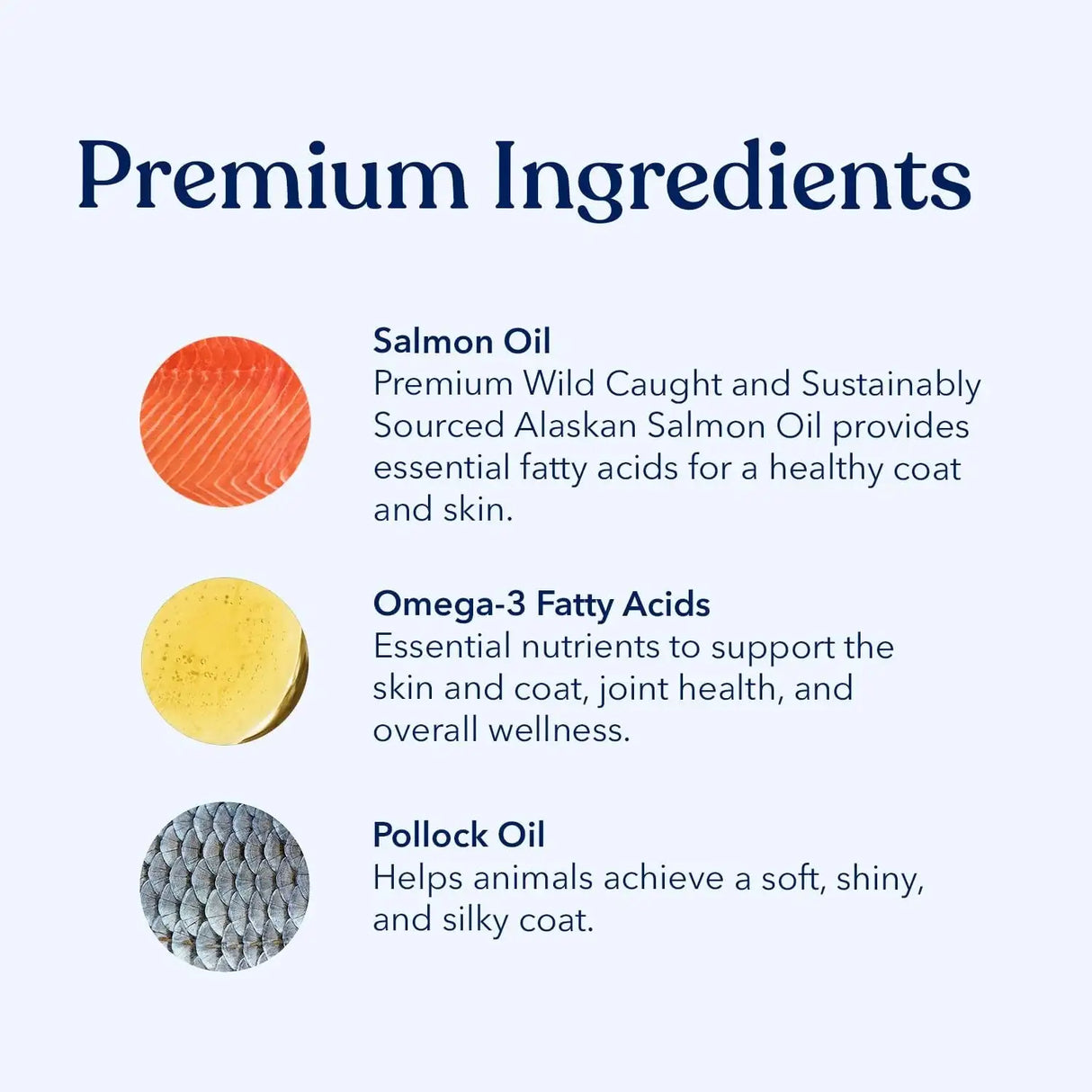 HONEST PAWS - Honest Paws Salmon Oil for Dogs 8 Fl.Oz. - The Red Vitamin MX - Aceite De Pescado Para Perros - {{ shop.shopifyCountryName }}