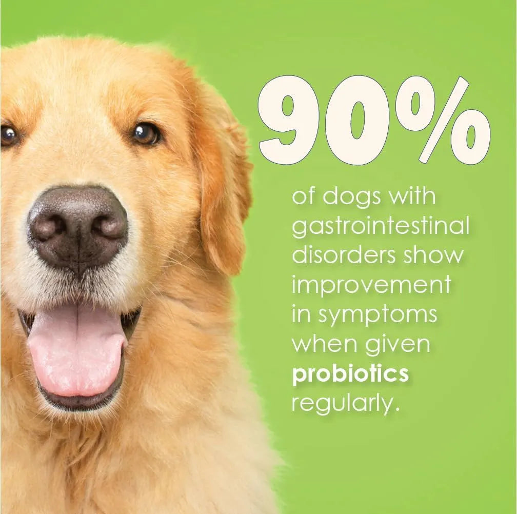 PROFLORA - Proflora Probiotics for Dogs 30 Paquetes - The Red Vitamin MX - Probióticos Para Perros - {{ shop.shopifyCountryName }}