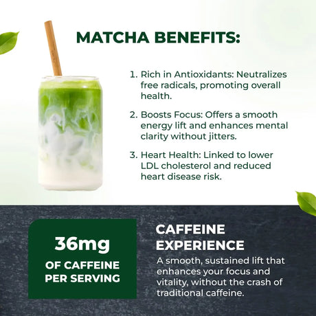 TENZO - Tenzo Matcha Green Tea Powder 400Gr. - The Red Vitamin MX - Suplementos Alimenticios - {{ shop.shopifyCountryName }}