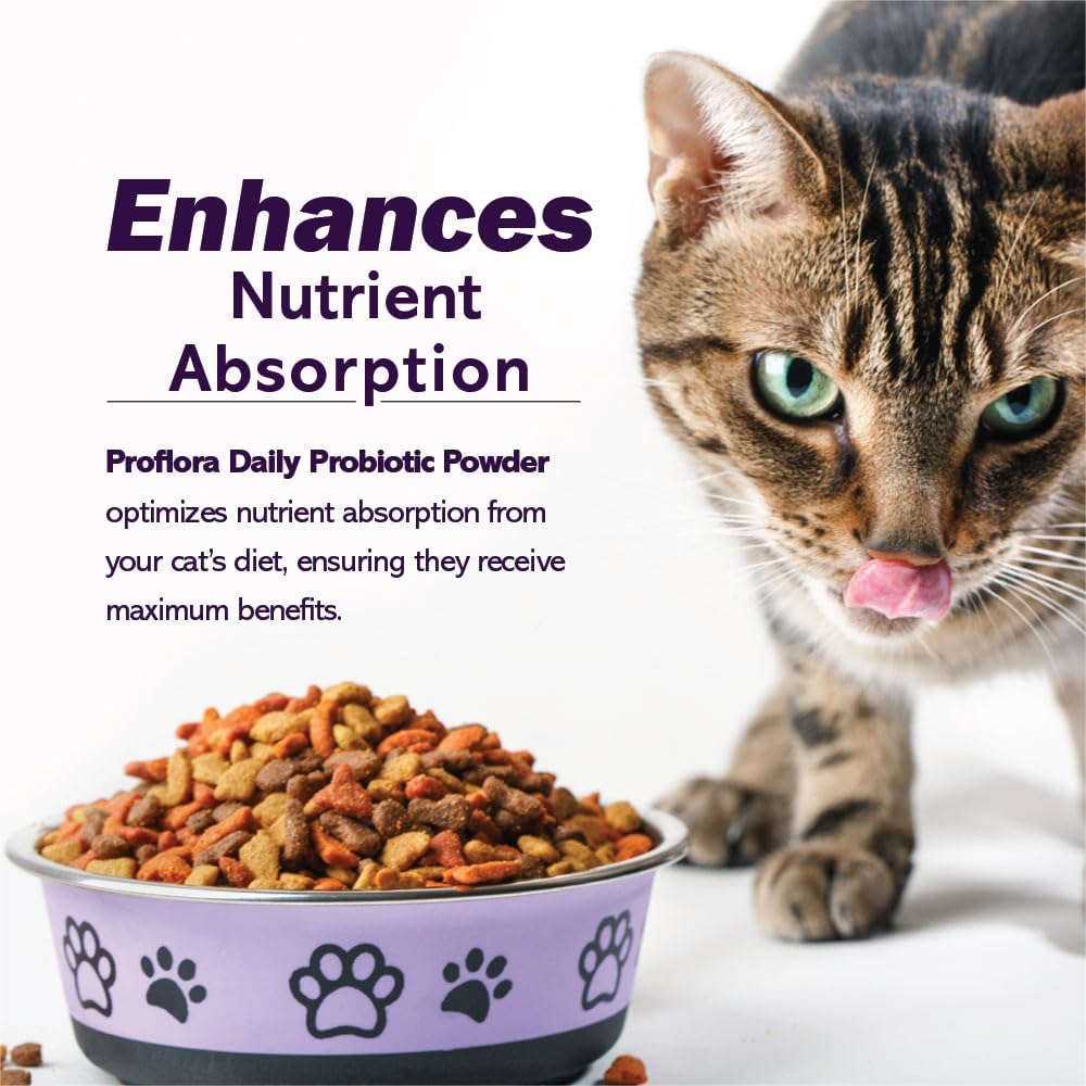 Proflora Probiotics for Cats-Complete Gut Health & Immune Support 30 Paquetes