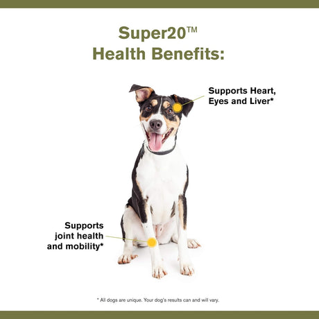 BADLANDS RANCH - BADLANDS RANCH Super20 Canine Multi-Benefit Supplement 30 Servicios 90Gr. - The Red Vitamin MX - Suplementos Herbales Para Perros - {{ shop.shopifyCountryName }}