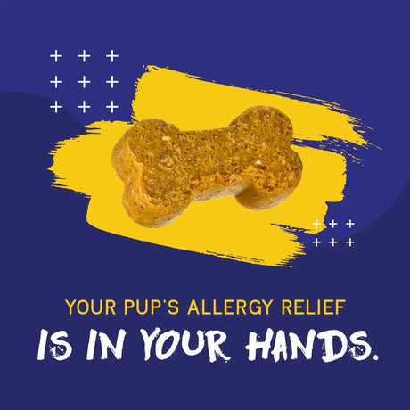 PUPGRADE - PupGrade Itch & Allergy Chew Supplement for Dogs 60 Masticables - The Red Vitamin MX - Remedios Para La Picazón De Perros - {{ shop.shopifyCountryName }}