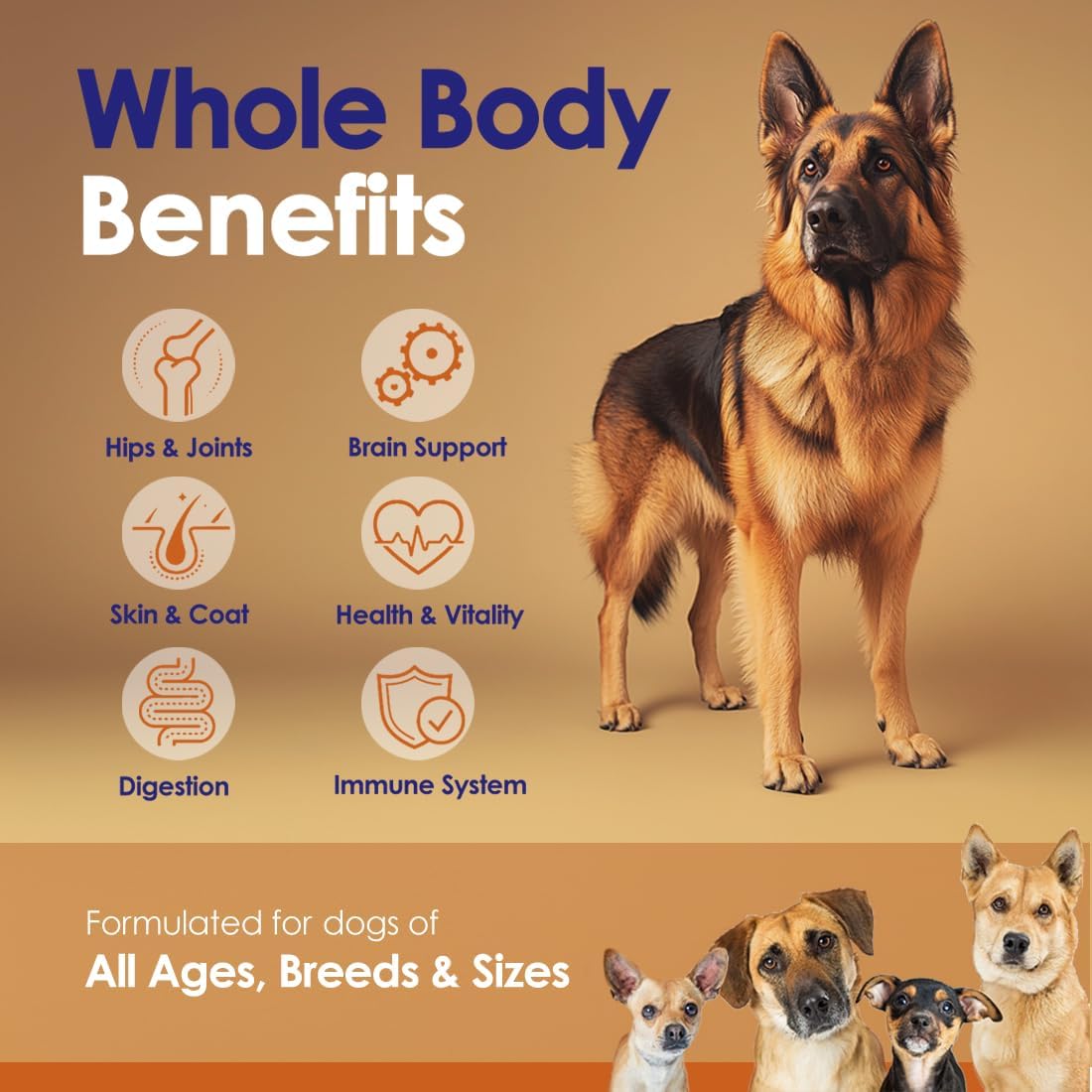 NULIFE - NuLife Natural Pet Health Grass-Fed Beef Bone Broth Powder for Dogs with Mushroom Blend 120Gr. - The Red Vitamin MX - Suplementos Herbales Para Perros - {{ shop.shopifyCountryName }}