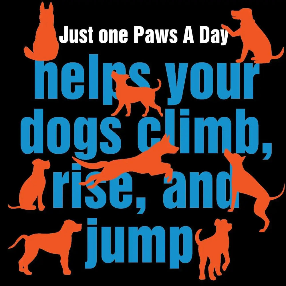 PAWS A DAY - Paws A Day Glucosamine for Dogs Hip & Joint Supplement 60 Masticables - The Red Vitamin MX - Cuidado De Cadera Y Articulaciones Para Perros - {{ shop.shopifyCountryName }}
