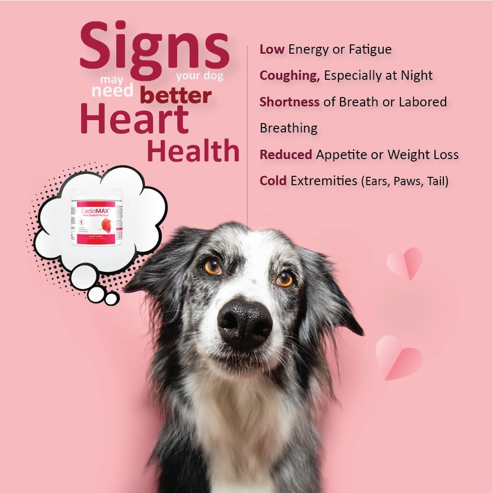 CARDIOMAX Heart Support Supplement for Dogs Vet-Formulated 60 Masticables