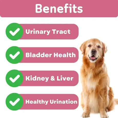 PAWVITAL - PawVital Cranberry Dog UTI Chews with D Mannose 90 Masticables - The Red Vitamin MX - Salud De Tracto Urinario Para Perros - {{ shop.shopifyCountryName }}