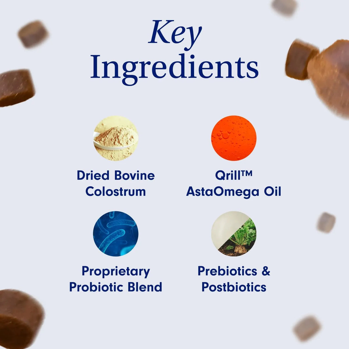 PETLAB CO. - PetLab Co. Allergy & Immune Daily Probiotics Large Size Dogs 30 Masticables - The Red Vitamin MX - Probióticos Para Perros - {{ shop.shopifyCountryName }}